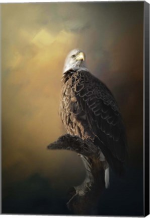 Framed Eagle On The Levy Print