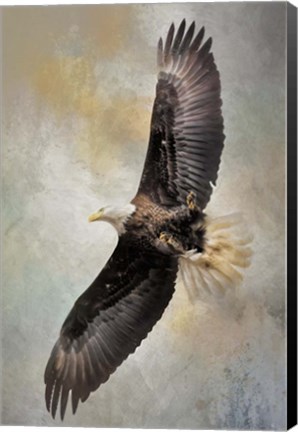 Framed Hirams Arrival Print