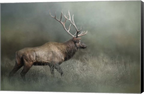 Framed Meandering Print