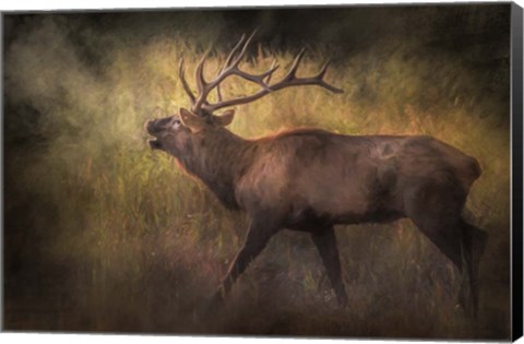 Framed Sound of The Season Print