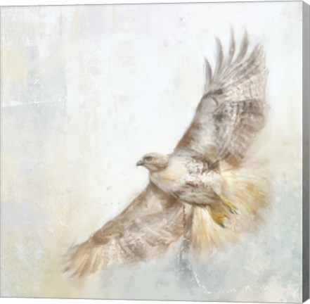 Framed Angel Hawk Print