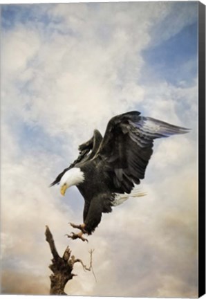 Framed Coming Down To Earth Print