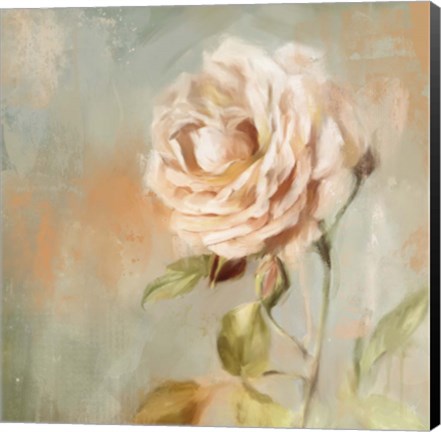 Framed Cottage Rose Print