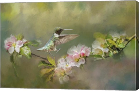 Framed Dance Like Nobodys Watching Print