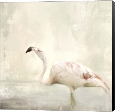 Framed Dressed In White Print