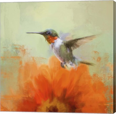 Framed Garden Beauty Print