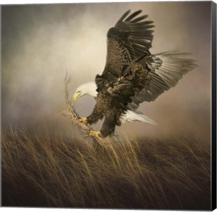 Framed Gathering Grass Print