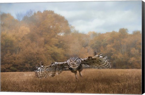 Framed Morning Mouse Hunting Print