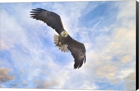 Framed No Place Like Home Print