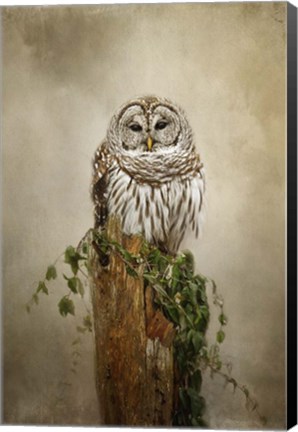 Framed Ollie and Ivy Print