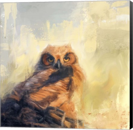 Framed Owlet By The Beach Print