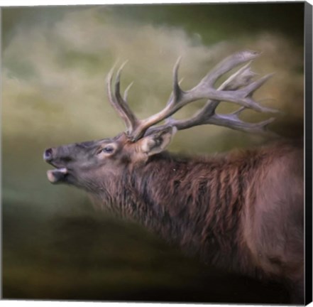 Framed Storm Caller Print