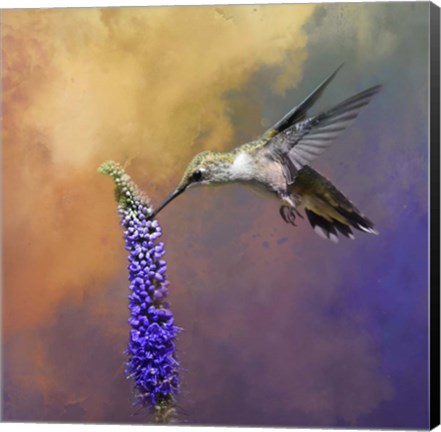 Framed Take It From The Top Print