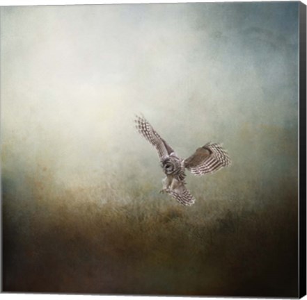 Framed Lone Hunter Print