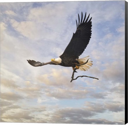 Framed Master Builder Print