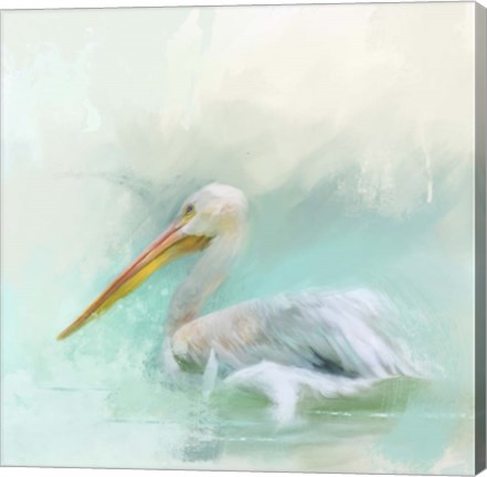 Framed White Pelican Print