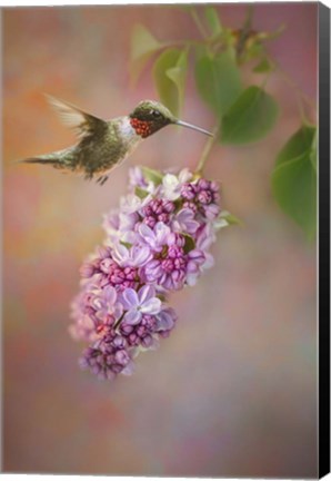 Framed Tiny Miracle Print