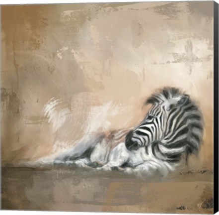 Framed Zebra At Rest Print