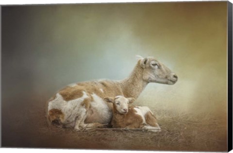 Framed Peaceful Mothers Love Print