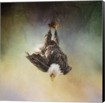 Framed Upside Down World Print