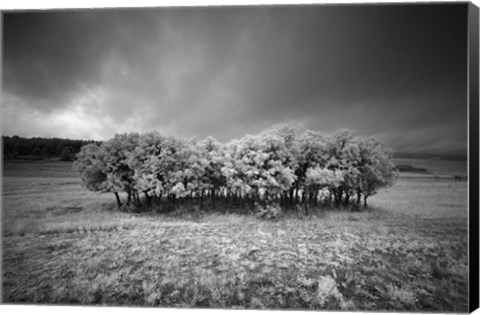 Framed Atmospheres Print