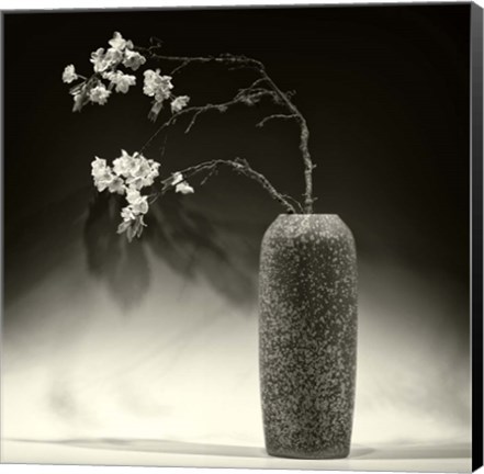 Framed Still Life with Apple Blossoms Print