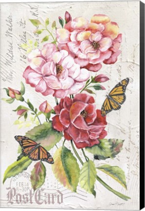Framed Summer Rose Postcard A Print
