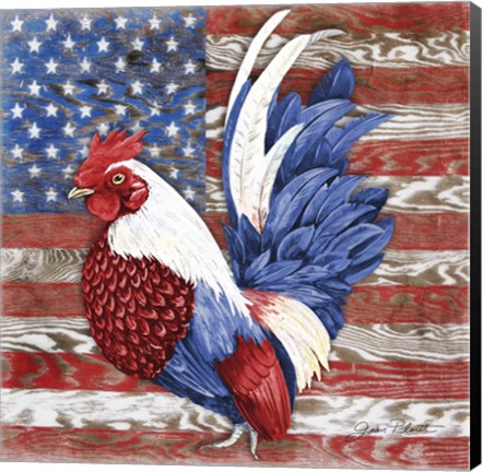 Framed American Rooster A Print
