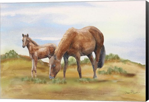 Framed Farm Animal In Pasture D Print