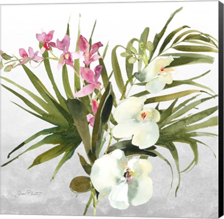 Framed Beautiful Orchids A Print