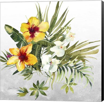 Framed Beautiful Orchids C Print