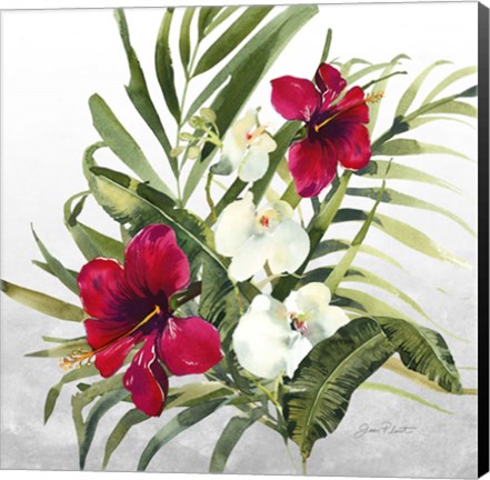 Framed Beautiful Orchids D Print