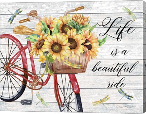 Framed Bicycle Inspirations A Print