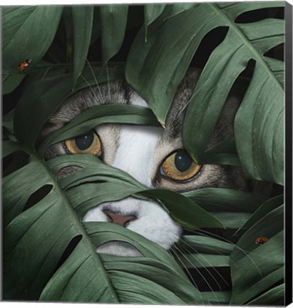 Framed Sneaky Cat Print