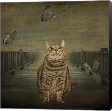 Framed Cat and Butterflies Print