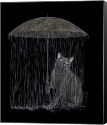 Framed Cat in Rain Print
