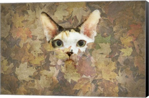 Framed Kitty Print