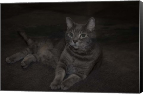 Framed Lounging Leila Print