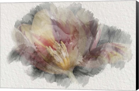 Framed Blooming Tulip Print