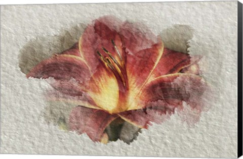 Framed Red Lily Print