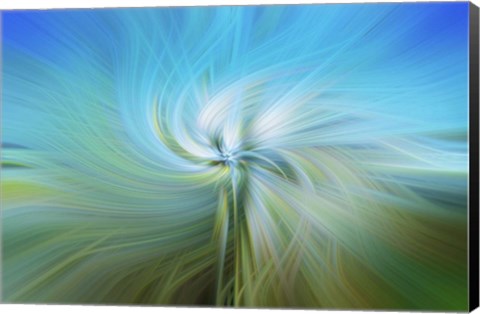 Framed Aqua Twirl Print