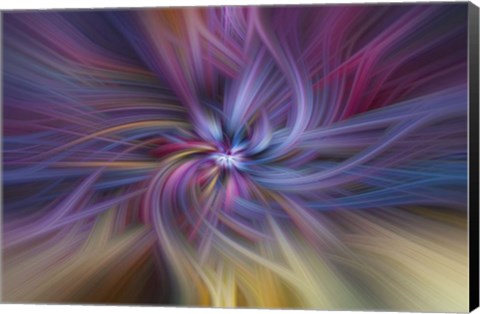 Framed Candy Twirl Print