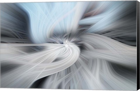 Framed Rising Star Print