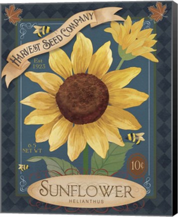 Framed Sunflower Seeds Print