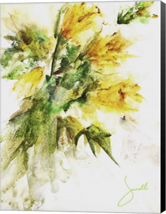Framed Daffodils Print