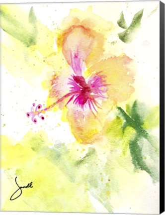 Framed Hibiscus Print