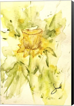 Framed Single Daffodil Print