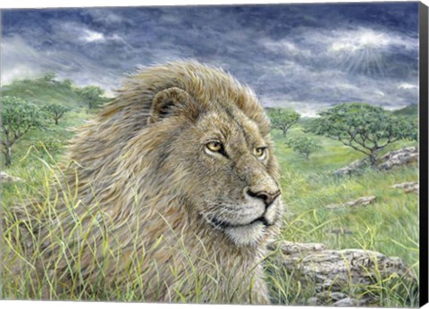 Framed Lion Print