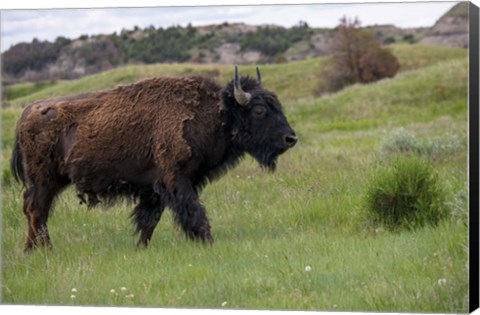 Framed Enter the Badlands 3 Print