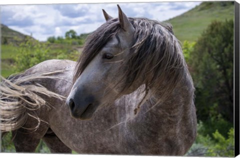 Framed Enter the Badlands 4 Print
